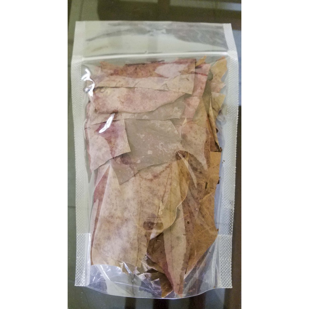 Daun Ketapang Untuk Ikan Cupang/Penurun PH air/Min.Beli 5/Harga khusus untuk 10+