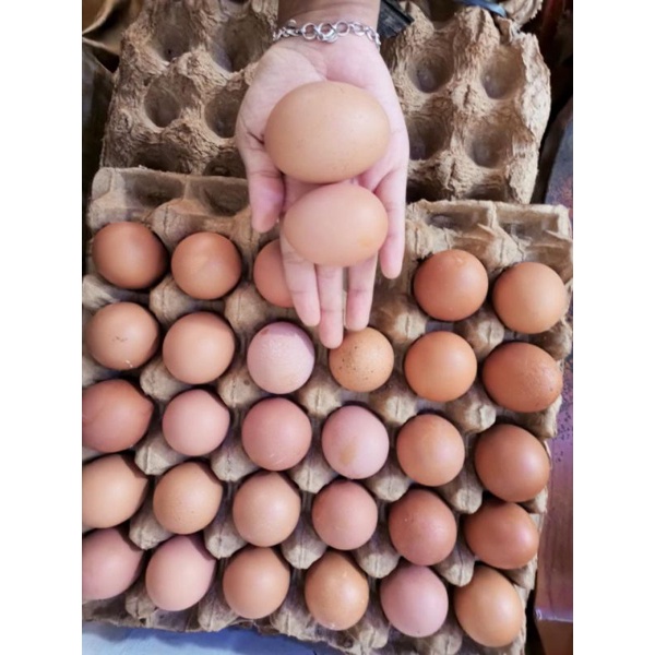 

telor ayam kiloan