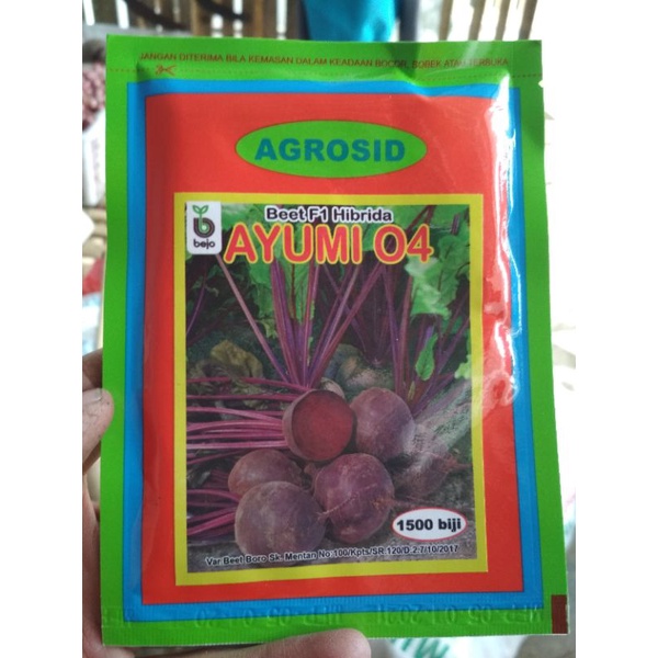 bibit buah bit 100 biji murah