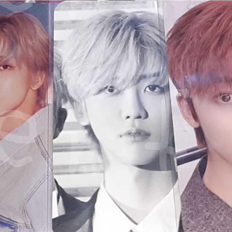 [booked] we boom stamp