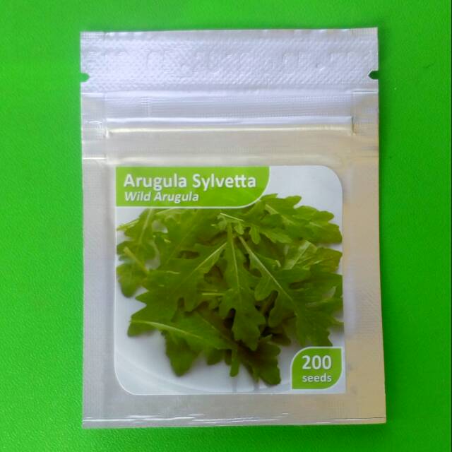 

ARUGULA – SYLVETTA