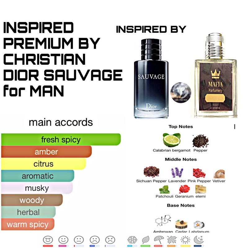 Parfum Pria CHRISTIAN DIOR SAUVAGE - 30ML