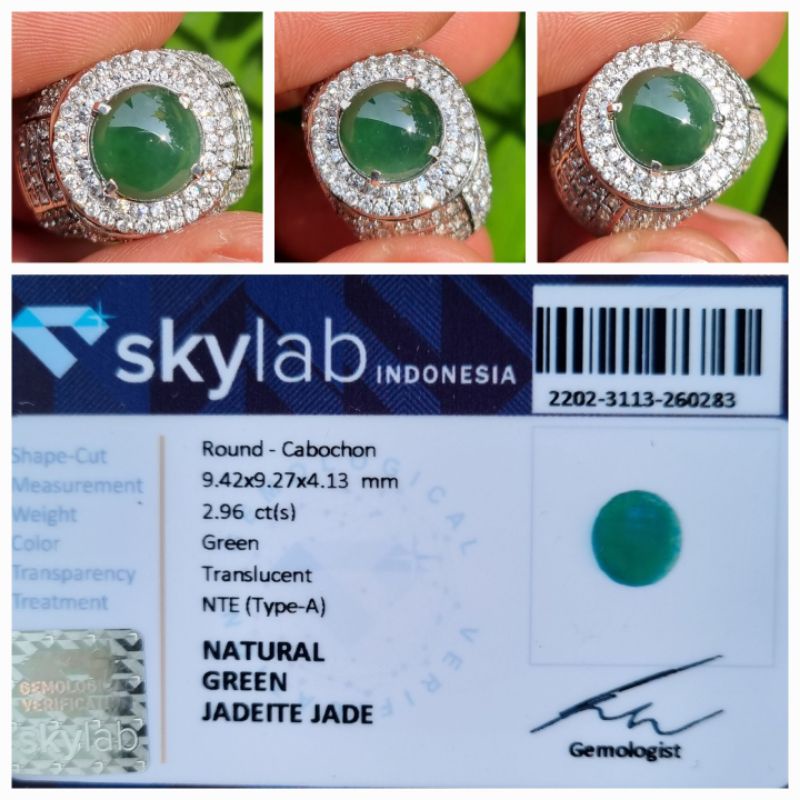 Natural Giok Burma Myanmar Jadeite Jade Type A Memo 2.96 crt