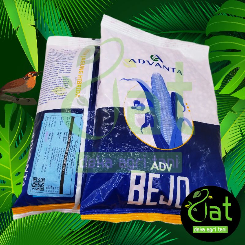 BIBIT BENIH JAGUNG ADV BEJO 1KG ADVANTA