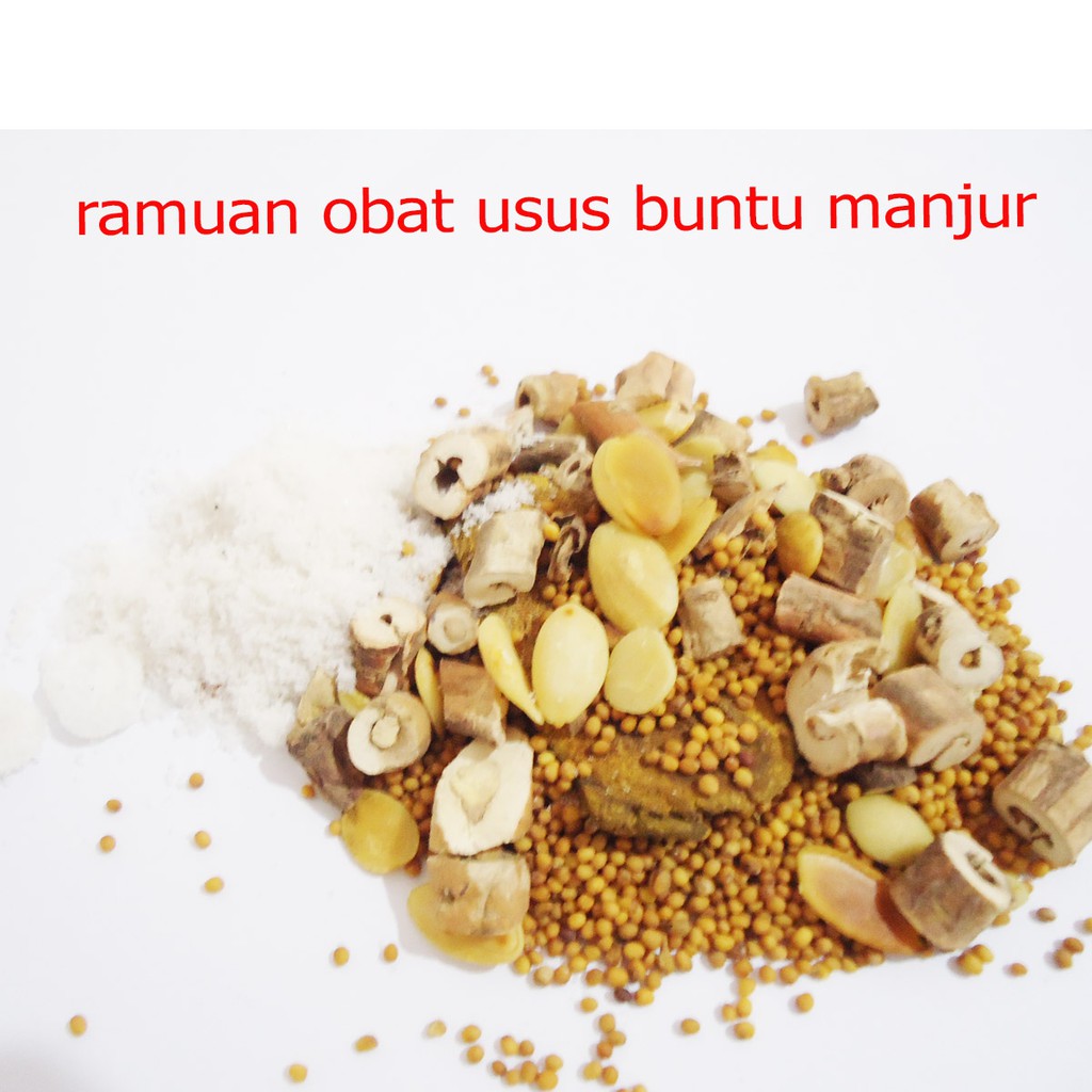 OBAT USUS BUNTU ramuan asli obat usus buntu manjur