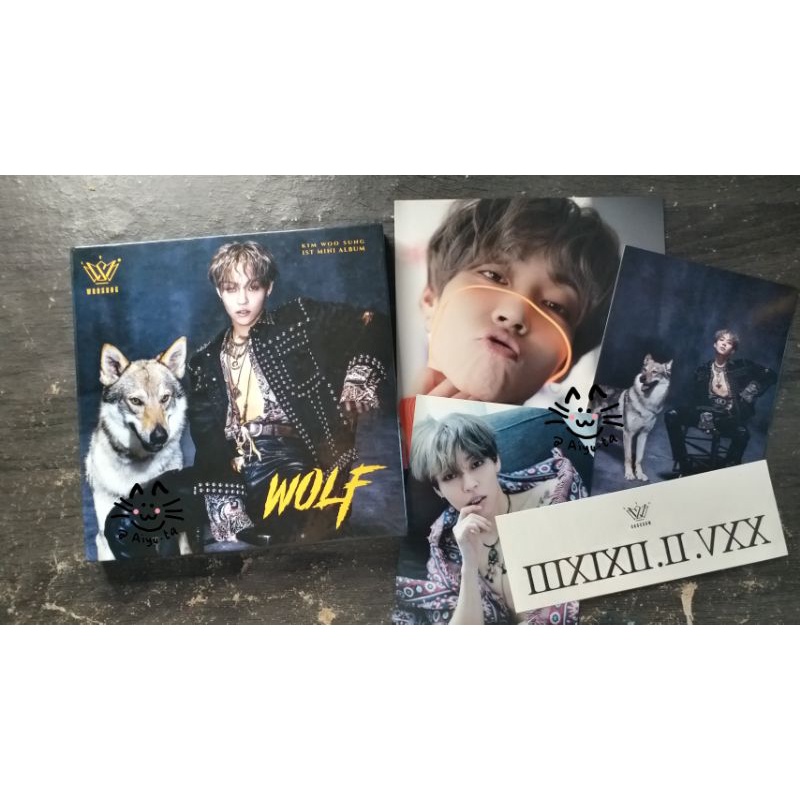 album kim woosung "wolf" BOOKED