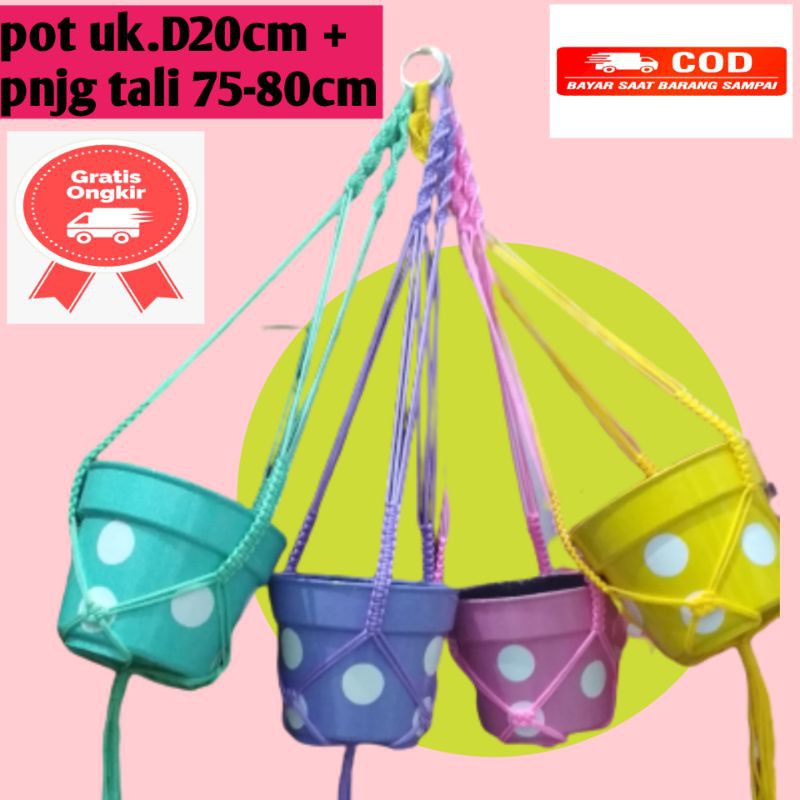 POT GANTUNG POLKADOT WARNA WARNI POT TANAMAN BUNGA