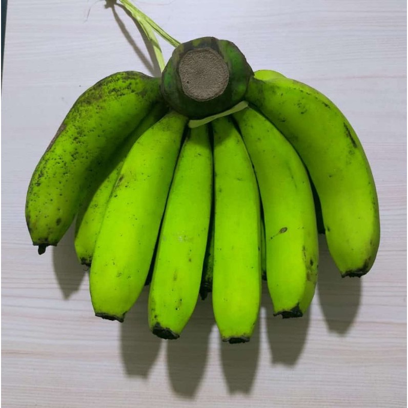 

Pisang Ambon Lumut