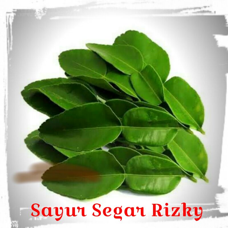 

Daun jeruk