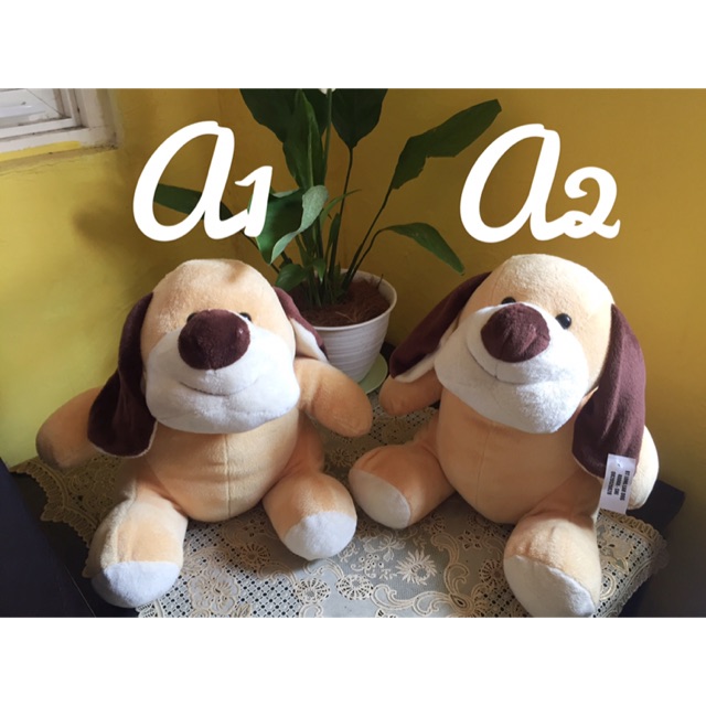 

Kado wisuda/ kado ulangtahun