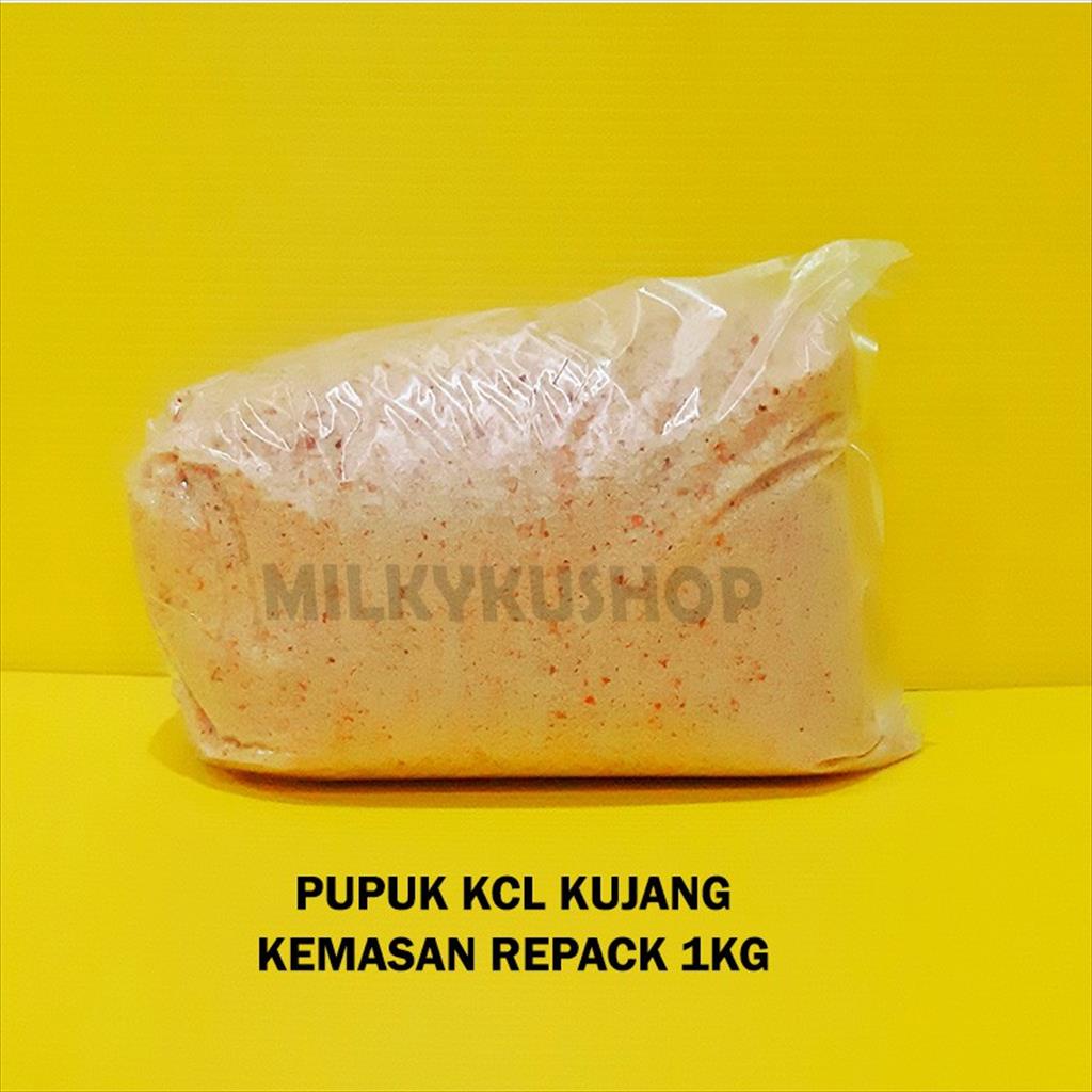 PUPUK KALIUM KCL KUJANG KEMASAN REPACK 1 KG