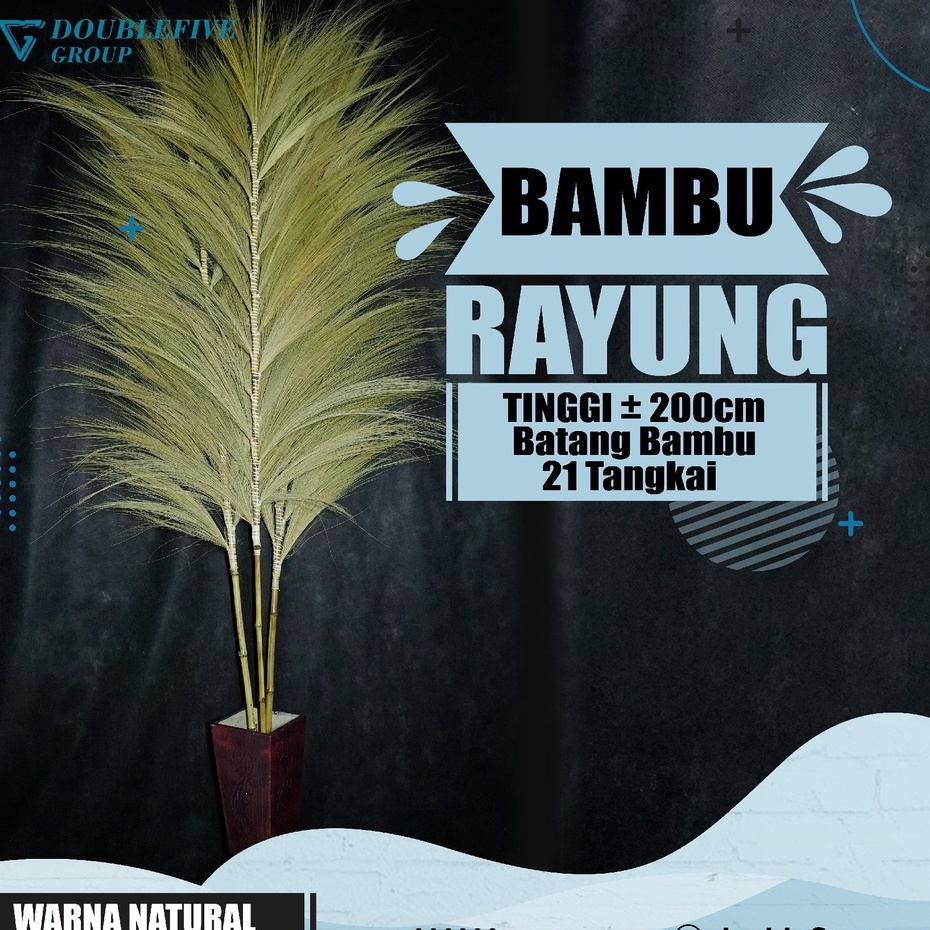 Rayung Home Decor Rayung Kering Panjang Rayung Natural Rayung Rustic Dekorasi Rayung Pampas - PUTIH