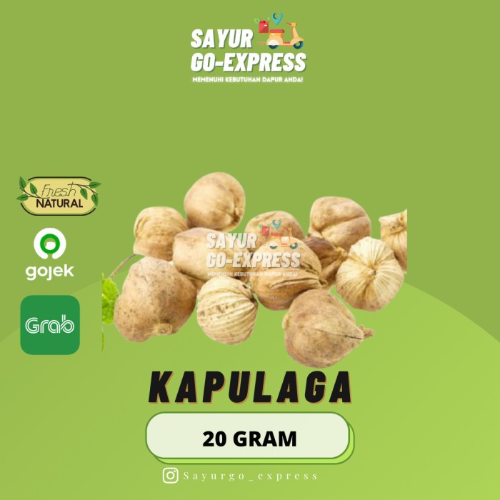 

Kapulaga Sachet 10gr