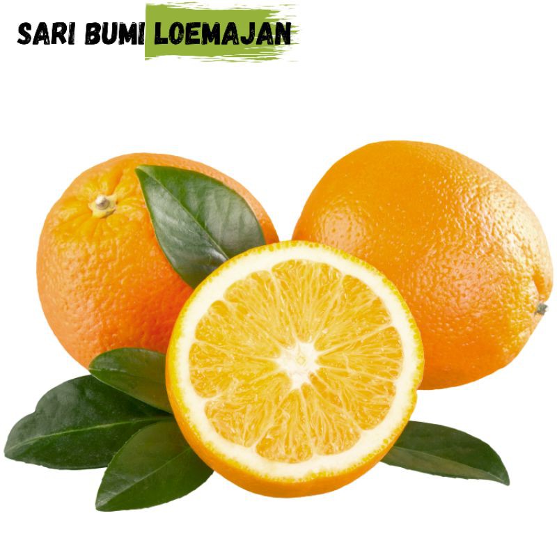 

sari bumi loemajan jeruk sunkish/sangkis 500gram