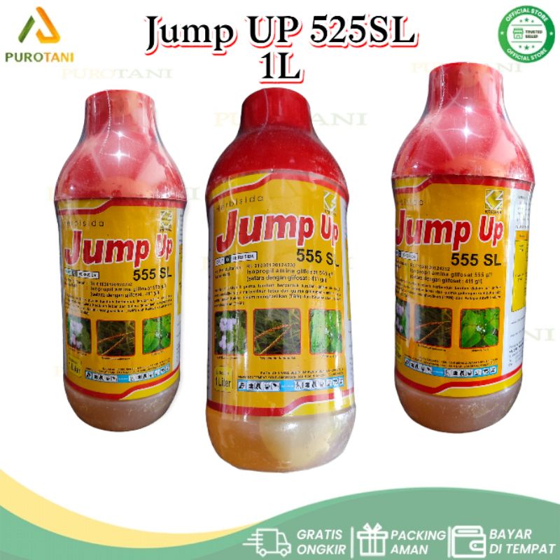 Herbisida Dosis Tinggi Jump-Up 555 SL Basmi Gulma Akar