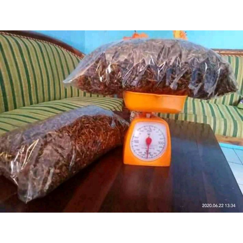 

BELALANG UTES TAWAR/TANPA BUMBU KEMASAN 1KG MURAH‼️