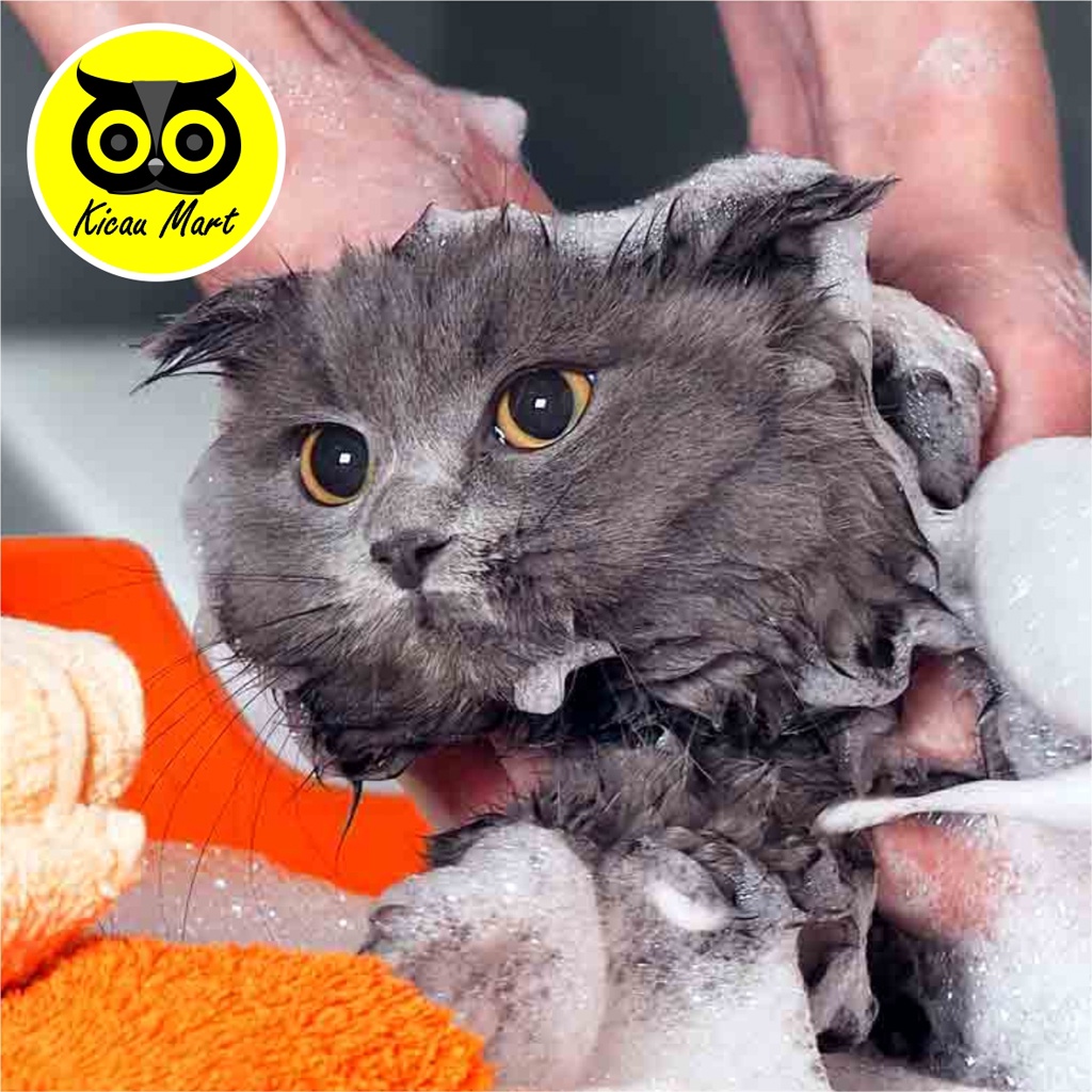 Shampo Sampo Kucing Olive Care Ungu Purple Daily Care Face And Body 60 Ml Pet Shampoo Grooming Kucing Kitten Anabul Anjing Sampo Anti Noda Pertumbuhan Bulu Cerah Halus Sehat