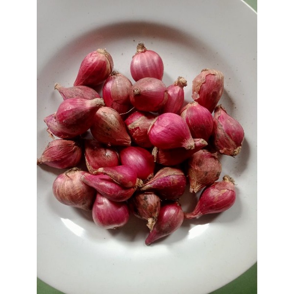 

bawang merah brebes UK. 1 KG
