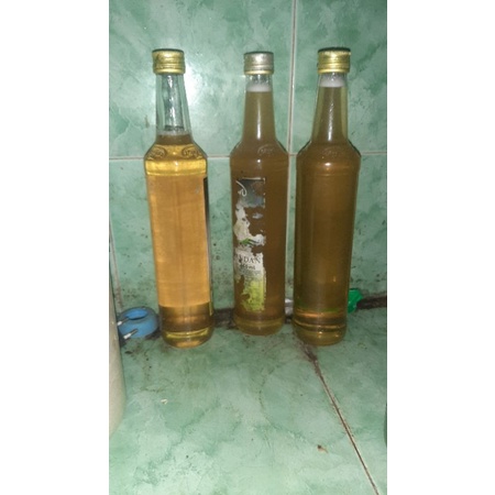 

madu kelanceng/kelulut ( Trigonaitama)