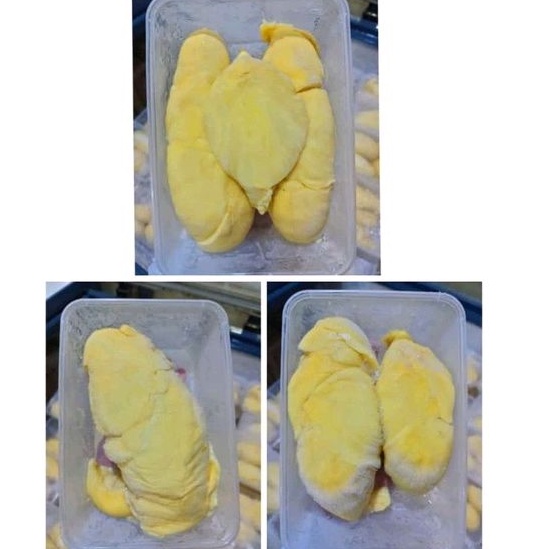 

DURIAN MONTONG