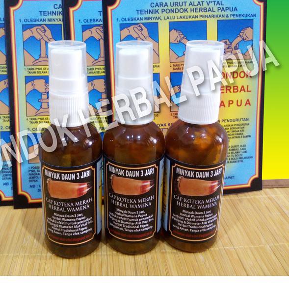 ¿+ Minyak Wamena Asli Cap Koteka Merah, Pondok Herbal Papua ❆