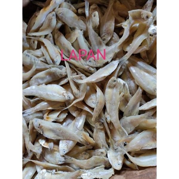 

ikan asin//lapan//ikan asin lapan//ikan asin fresh//ikan asin kering