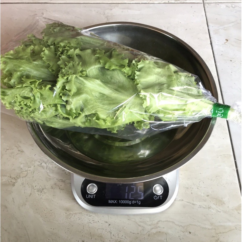 

fress kemasan 1kg sayur selada hijau