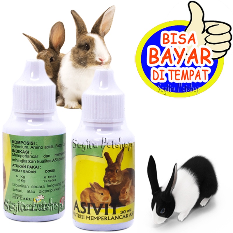 Vitamin Pelancar Air Susu Kelinci Penambah ASI Asivit