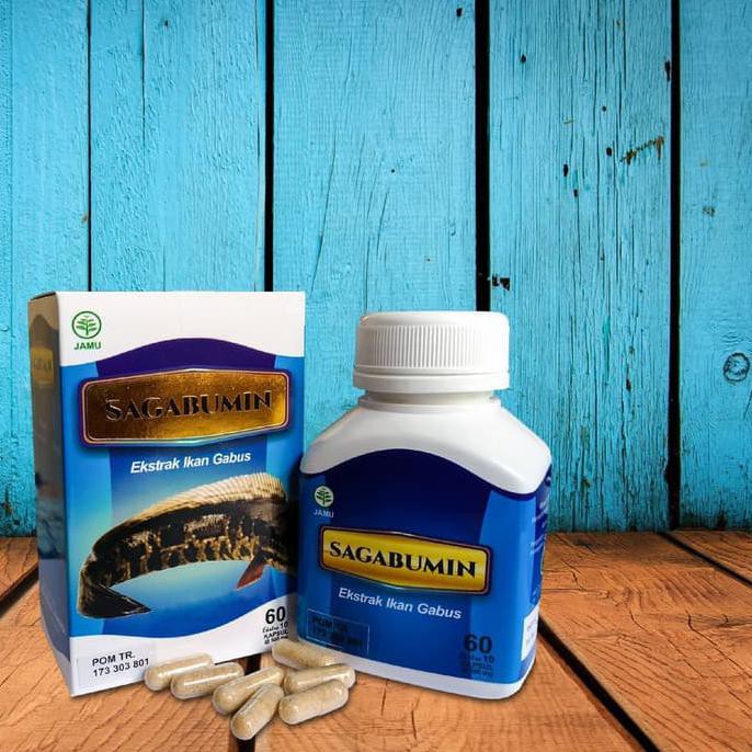 Kapsul Albumin Ekstrak Ikan Gabus / Kutuk (Protein) Original