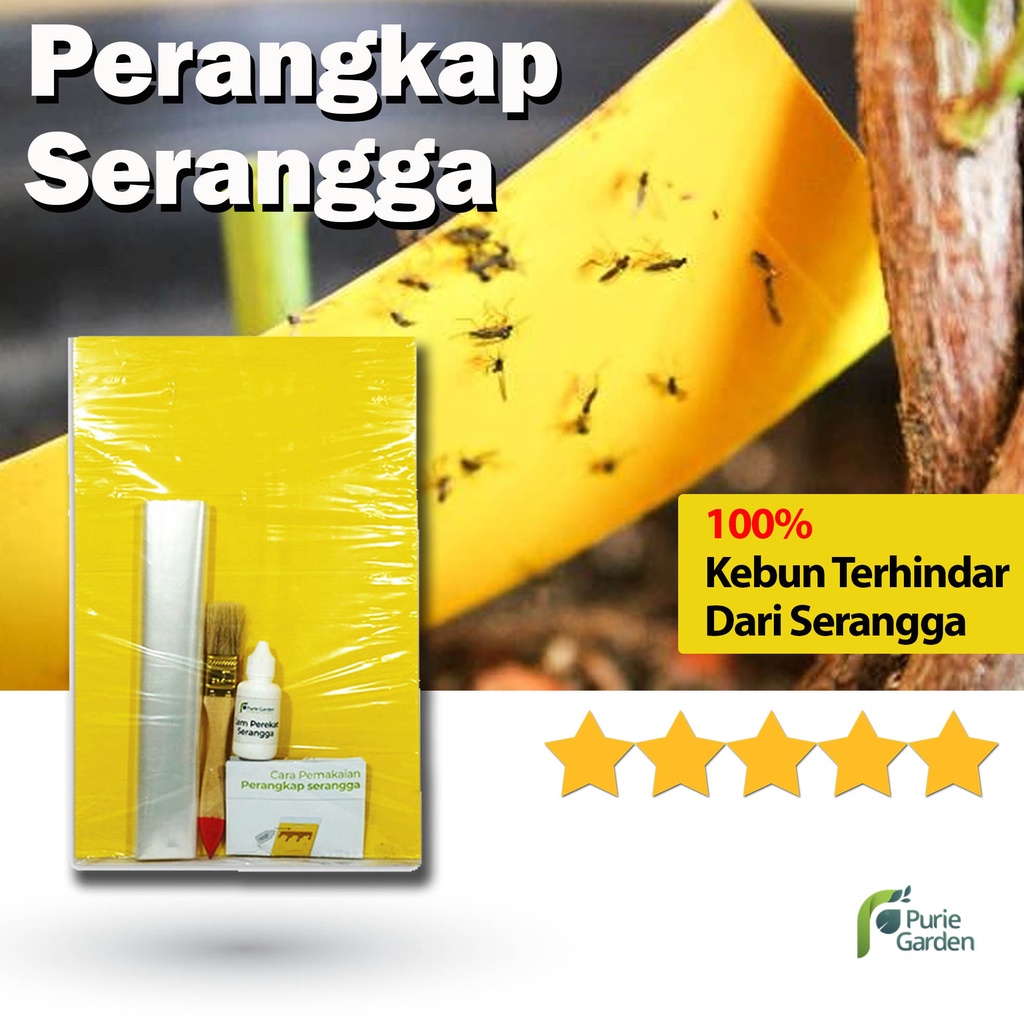 Yellow Trap Penangkap Serangga Lalat Buah Kupu Puriegarden PG SBY