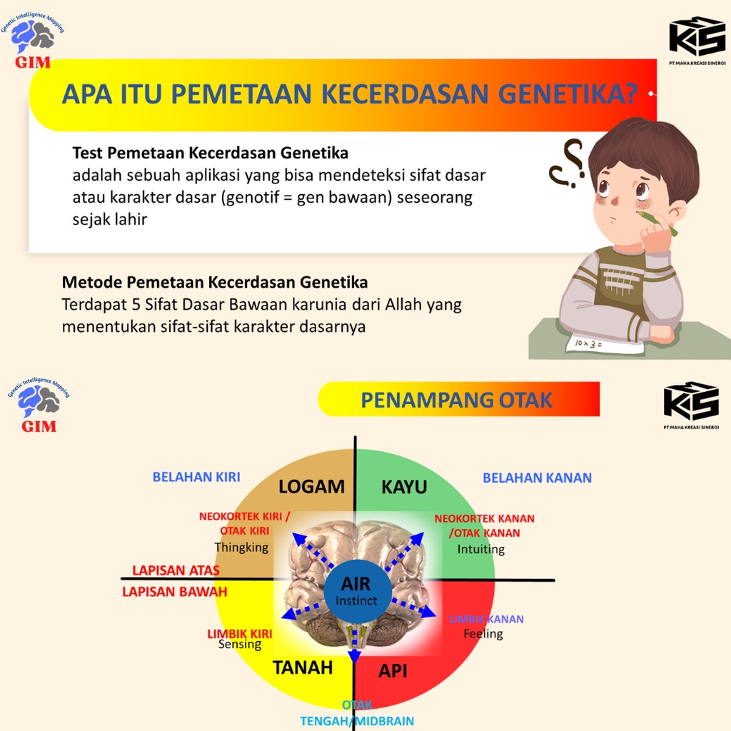 PAKET HEMAT Tes kecerdasan Genetika (Genetics Intellegentia Mapping) dan Gaya Belajar Anak