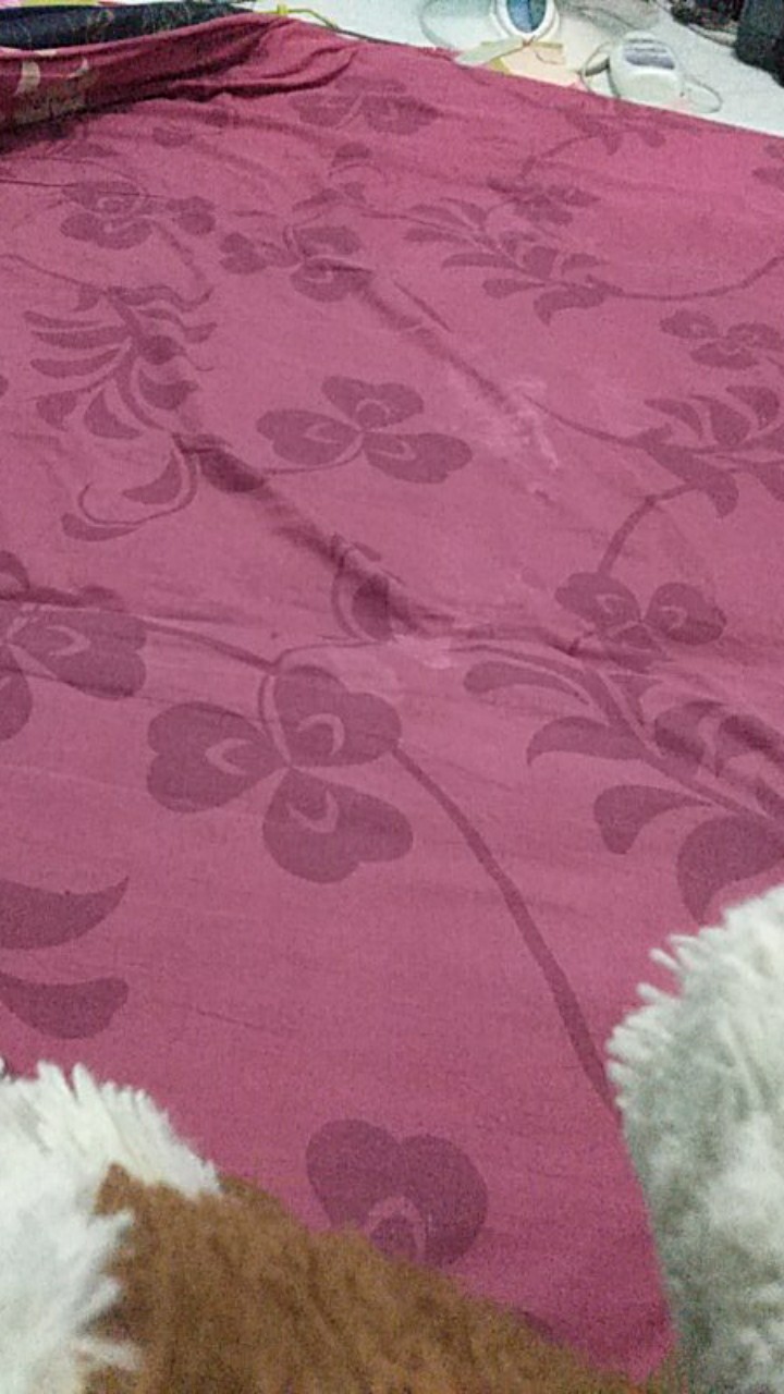 [isi 3 Pcs] Keranjang Parsel Buah