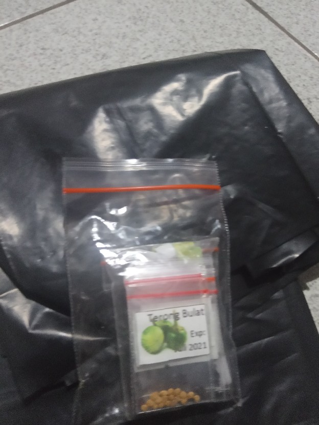 Isi 1 Pcs - L X T ( 25 Cm X 30 Cm) - Polybag Polibag Tanaman