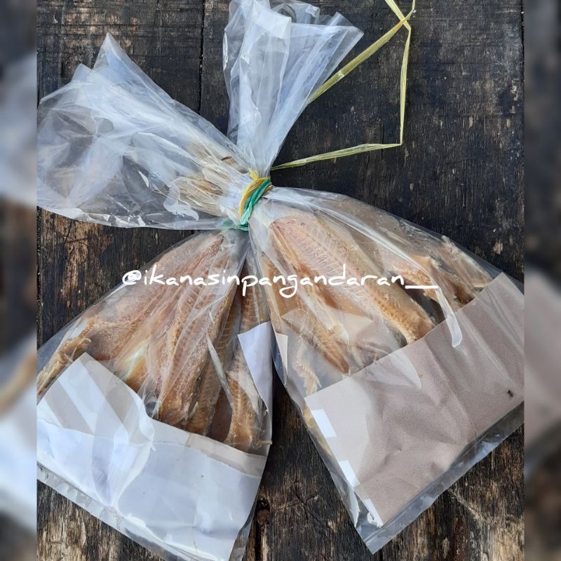 

IKAN ASIN JAMBAL ROTI SUPER (BABY) 2 KANTONG ASLI PANGANDARAN