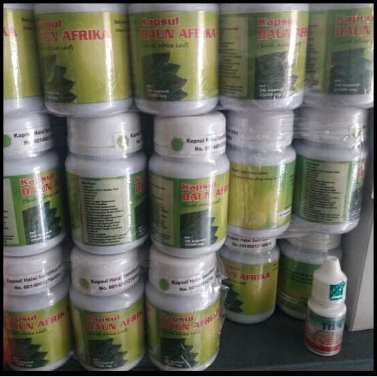 ORIGINAL KAPSUL DAUN AFRIKA ATASI KOMPLIKASI DAN KESEMUTAN
