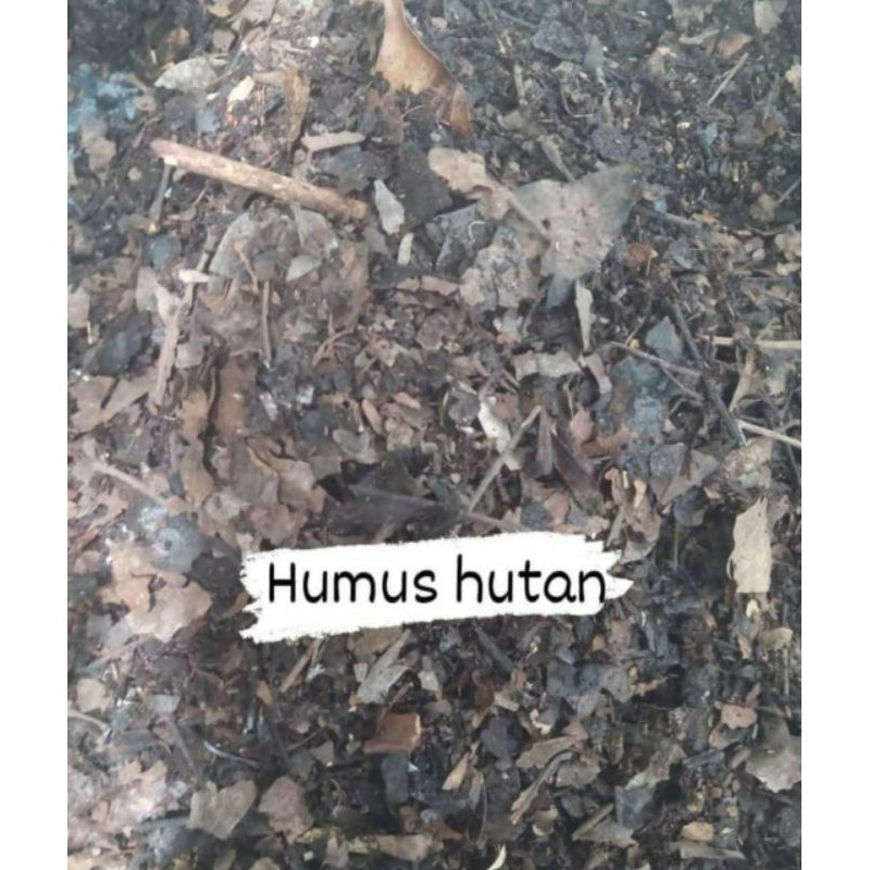 Humus hutan/media tanam/campuran media tanam kemasan 1,5kg