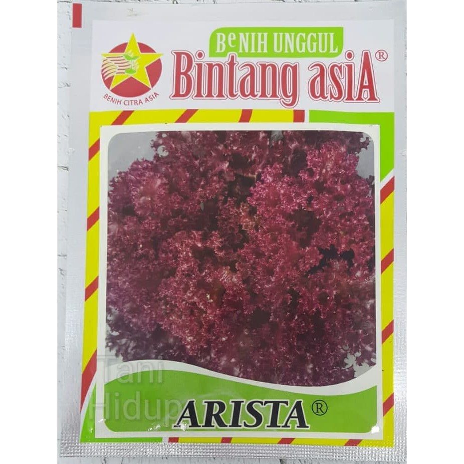 Order Langsung Bibit Selada Merah Arista 10 gram - Bintang Asia Terlaris