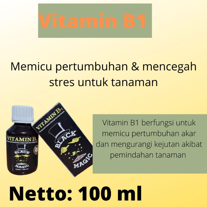 Pupuk Black Magic Terbaik, Pupuk Anti stres tanaman anggrek, Vitamin B1 Black Magic