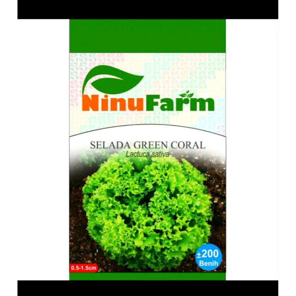 Benih biji bibit sayuran selada green coral Berkualitas