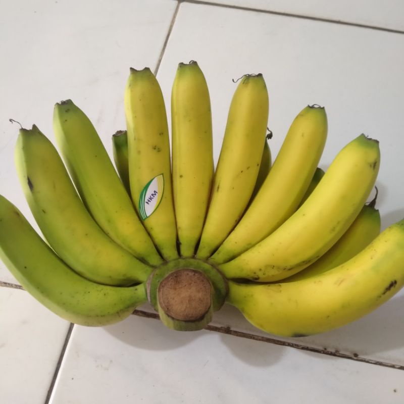 

Pisang Ambon Hand 1 sisir
