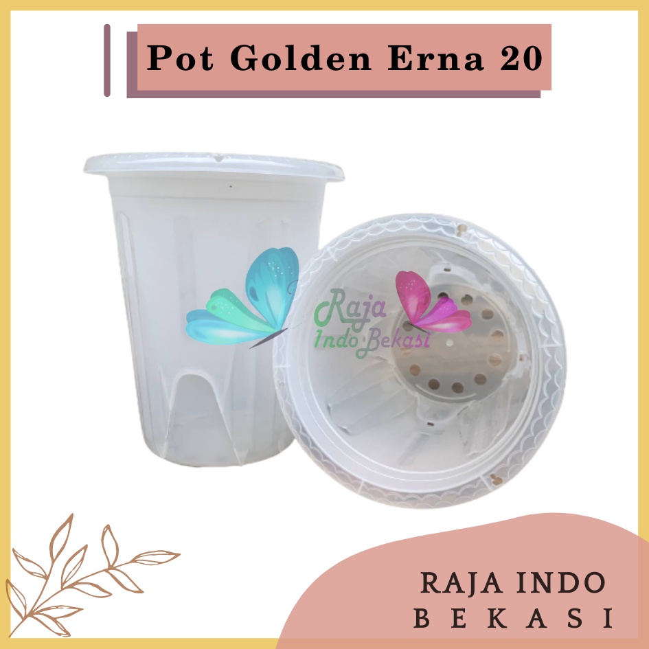 Rajaindobekasi Pot Golden Erna 20 Transparan Bening Garden Of Love Mirip Pot Yogap 18 19 25 Murah Putih Coklat Merah Bata Bening Transparan Pot Yogap 18 19 25 Pot Yogap Murah Pot Bunga Tinggi Pirus Tegak Bagus Tebal