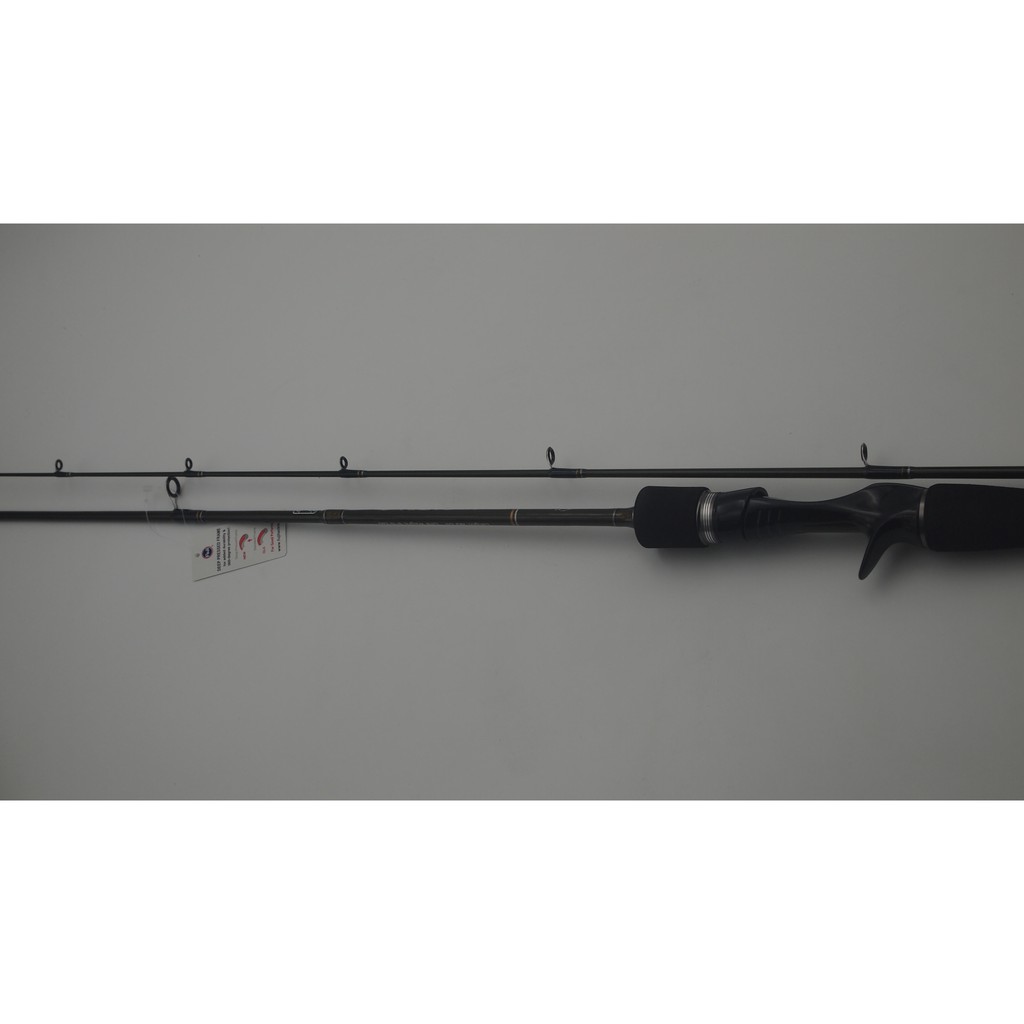 Joran Pancing Casting Exori Arcadia 602 Ring Fuji