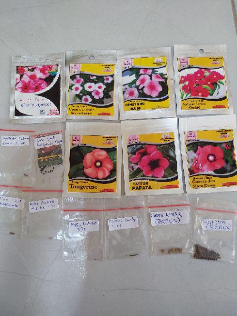 Benih Vinca Cora Cascade Strowberry Tegak 10 Biji – Kemasan Foil