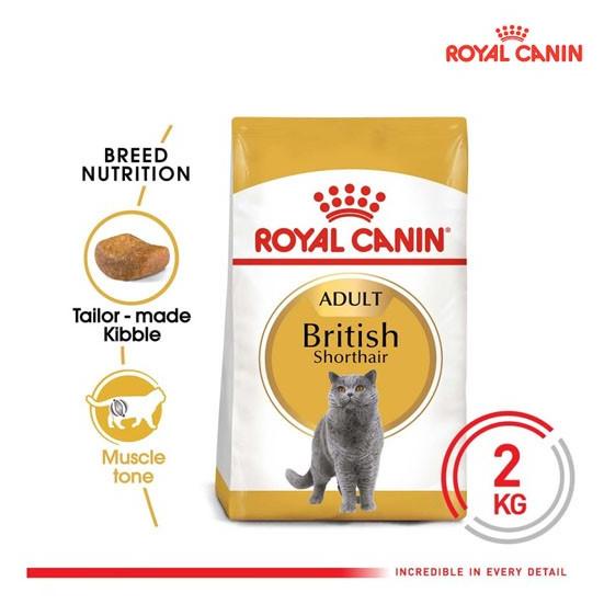 Royal Canin Adult British Shorthair Makanan Kucing Dewasa Dry 2 Kg Cindiystore
