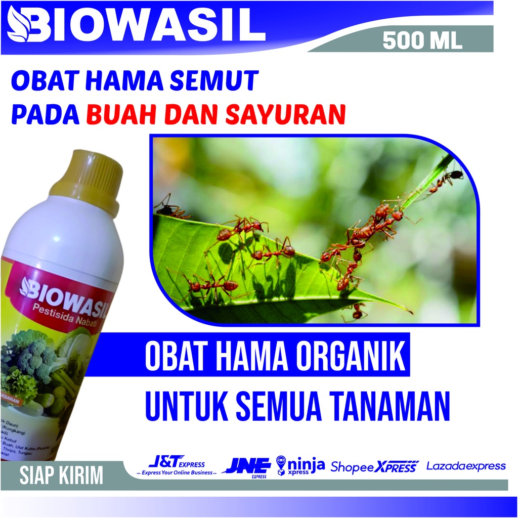 Promo Cod Obat Hama Semut Tangkal Paling Ampuh Biowasil Pestisida Nabati Mengatasi Hama Semut, Hama 