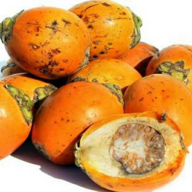 

MURAH HERBAL buah PINANG TUA UTUH KUNING