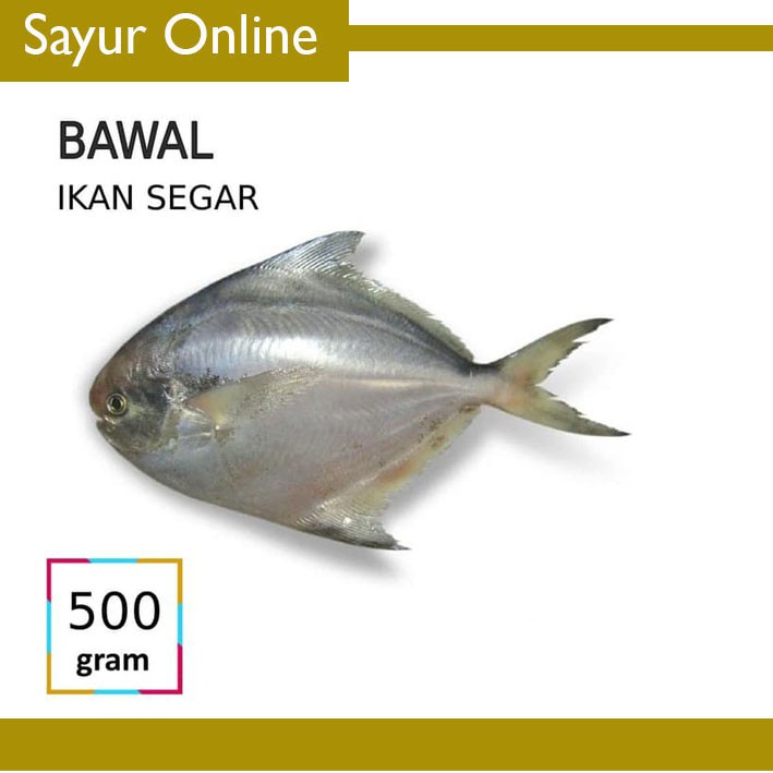 

IKAN BAWAL [500g]