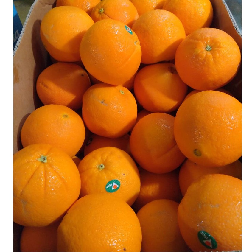 

Jeruk Sunkist Buah Segar Bandung