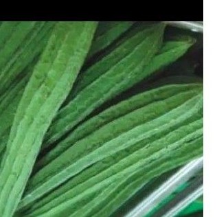 

Oyong 500g