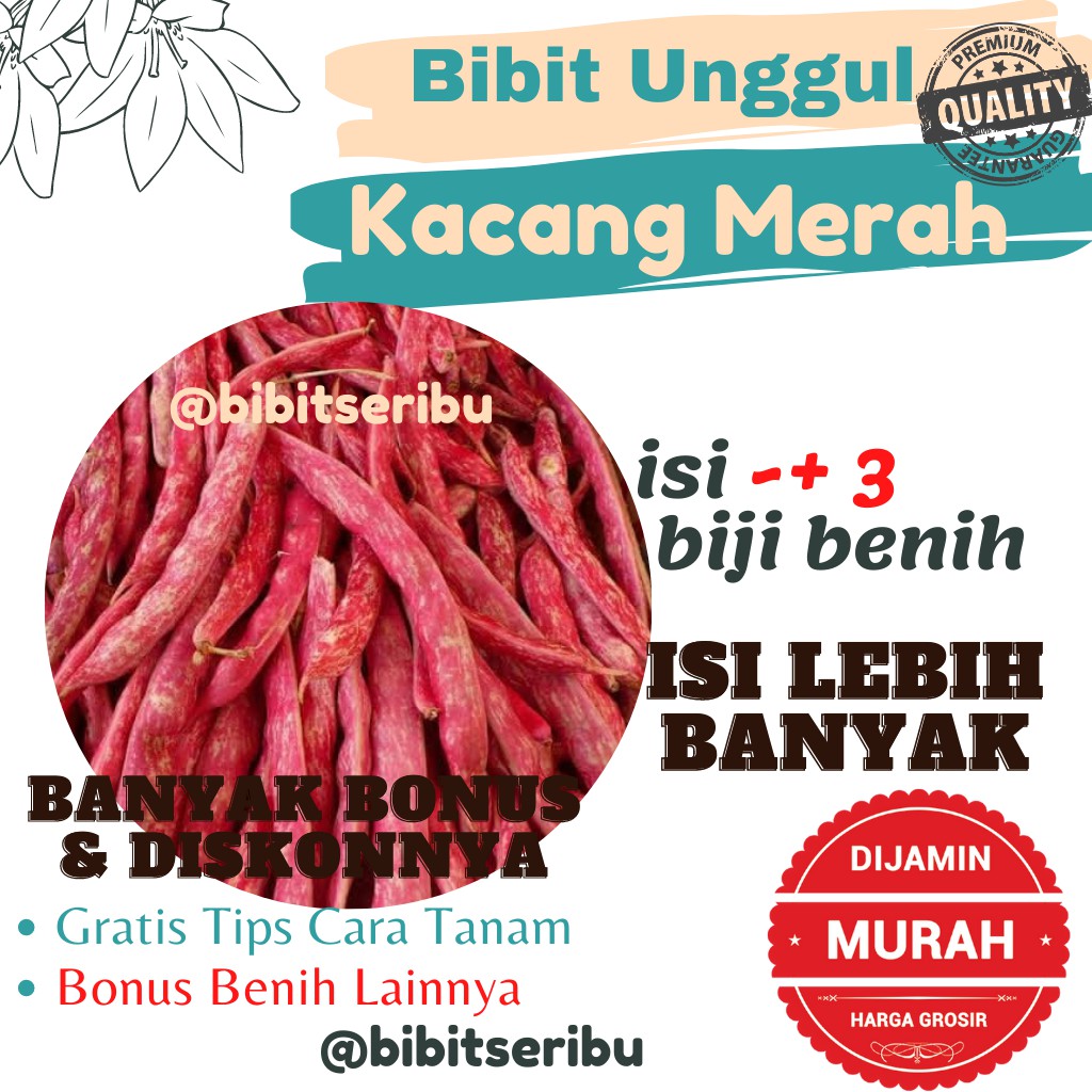 Bibit Kacang Merah Benih Sayuran dan Buah Siap Tanam Lengkap Bisa untuk Hidroponik